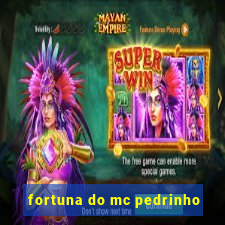 fortuna do mc pedrinho